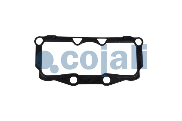 Cojali Remklauw revisie 6086585