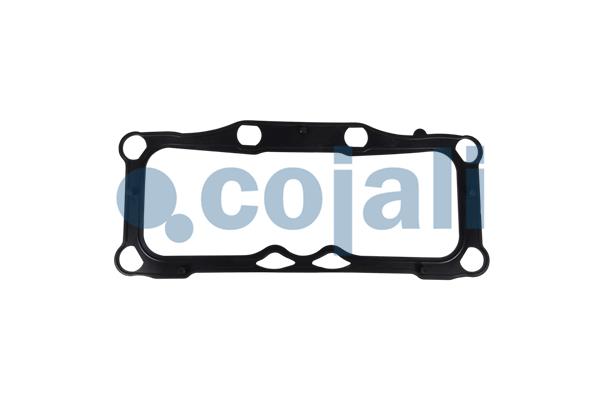 Cojali Remklauw revisie 6086586