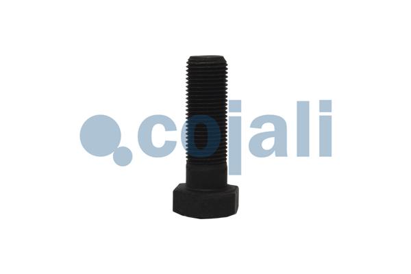 Cojali Visco-koppeling 7033158
