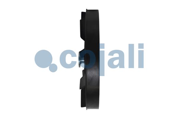 Cojali Ventilatorwiel-motorkoeling 7065101
