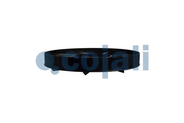 Cojali Ventilatorwiel-motorkoeling 8521604