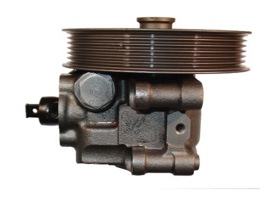 Spidan Servopomp 54215