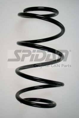 Veer Spidan 85957