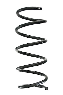 Chassisveer Spidan GKNW10220