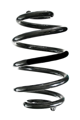 Chassisveer Spidan GKNW10227