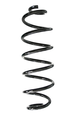 Chassisveer Spidan GKNW10239