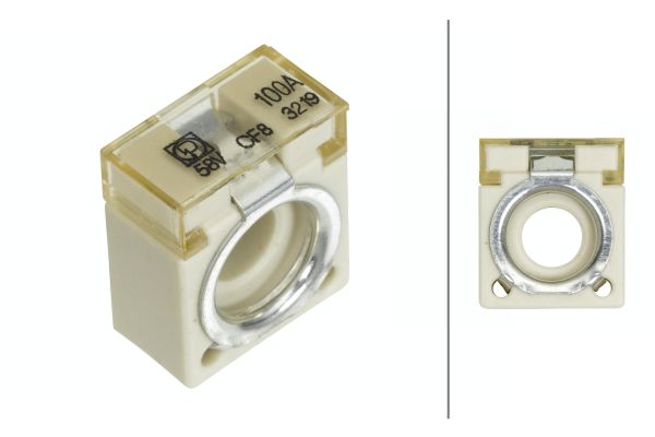 Zekering Hella 8JS 747 876-021