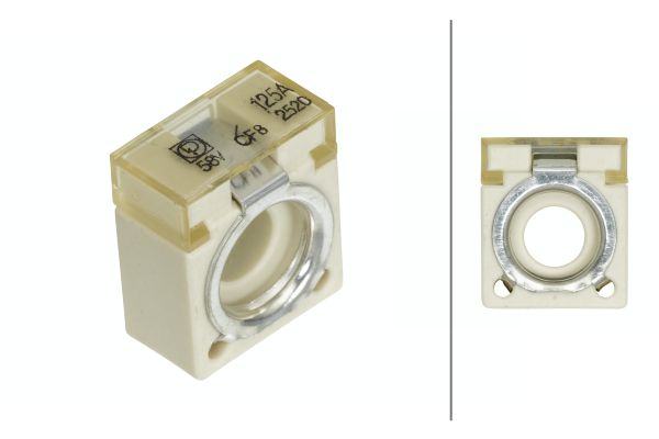 Zekering Hella 8JS 747 876-031