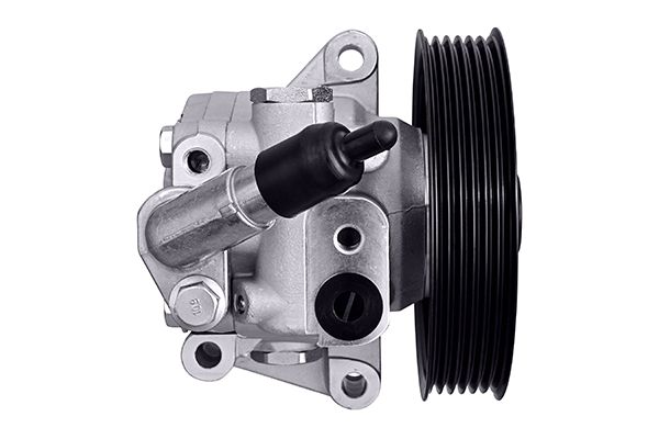 Hella Servopomp 8TL 359 003-011