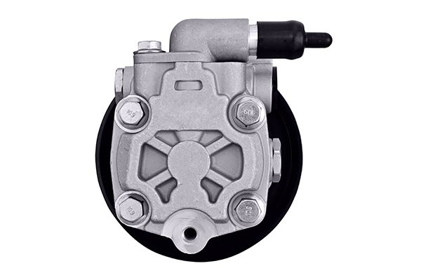 Hella Servopomp 8TL 359 003-111