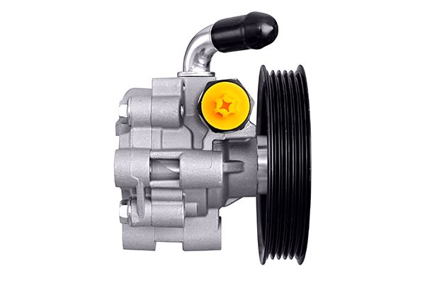 Hella Servopomp 8TL 359 003-171