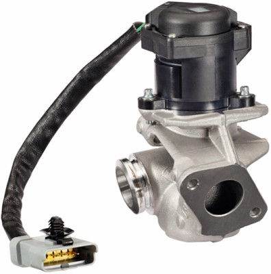 EGR-klep Hella 6NU 010 171-131