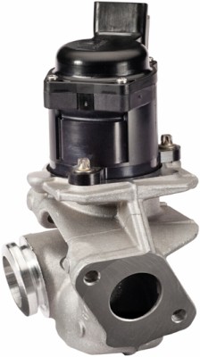 EGR-klep Hella 6NU 010 171-121