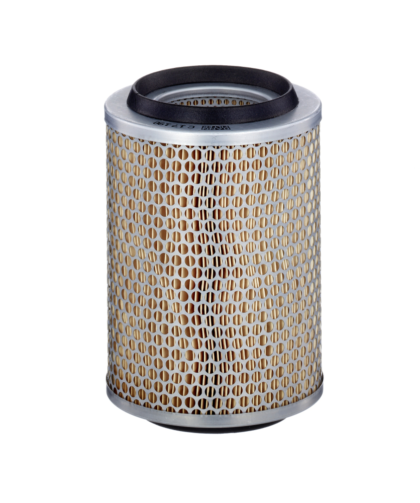 Luchtfilter Mann-Filter C 17 190