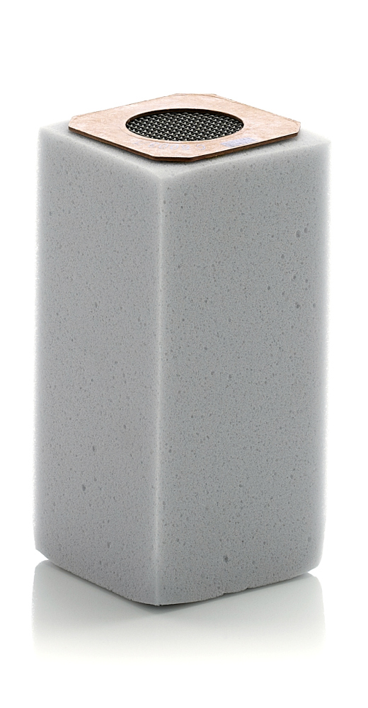 Luchtfilter Mann-Filter C 6003/1