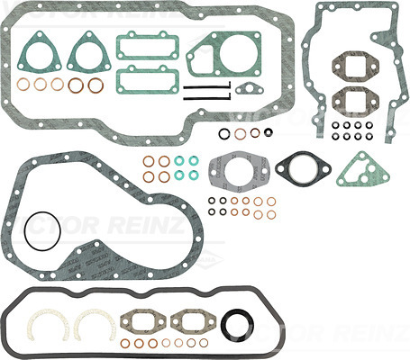 Motorpakking Reinz 01-50919-06