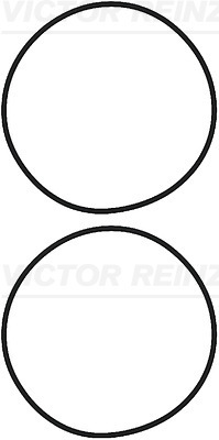 Cilinderbus/voering O-ring Reinz 15-73554-02