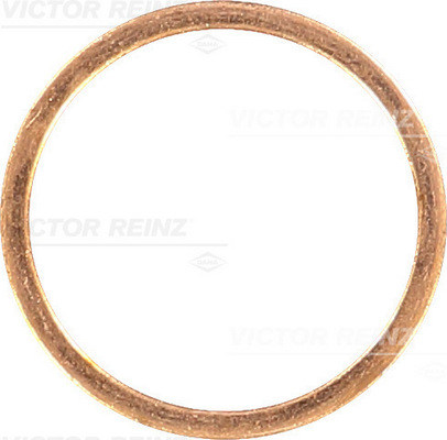 Afdichtring Reinz 40-70252-00