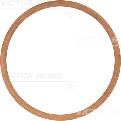Afdichtring Reinz 40-70466-00