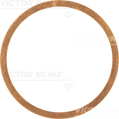 Cilinderkop pakking Reinz 40-70529-00