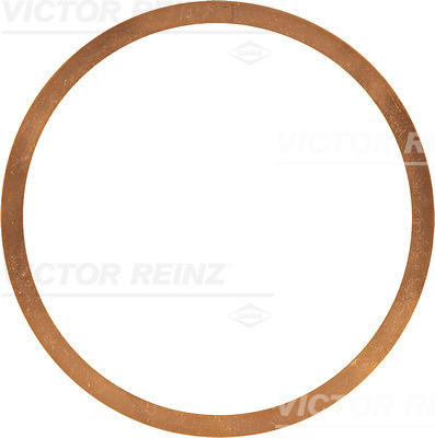 Cilinderkop pakking Reinz 40-70579-00