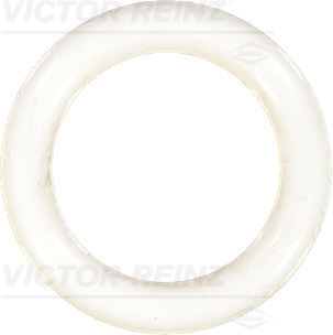 Afdichtring Reinz 40-76038-10