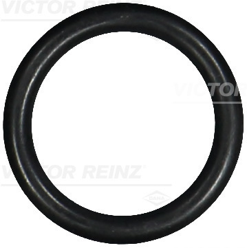 Afdichtring Reinz 40-76081-00