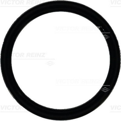 Afdichtring Reinz 40-76092-00