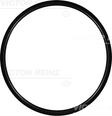 Afdichtring Reinz 40-76162-00