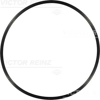 Afdichtring Reinz 40-76244-00