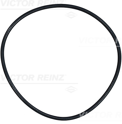 Afdichtring Reinz 40-76286-00