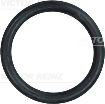 Afdichtring Reinz 40-76394-00