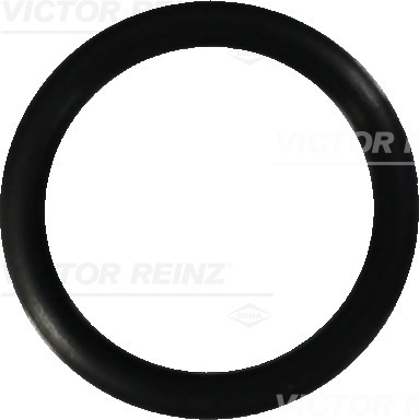 Afdichtring Reinz 40-76449-00