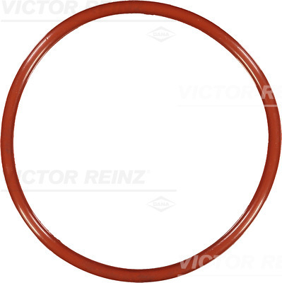 Afdichtring Reinz 40-76541-00