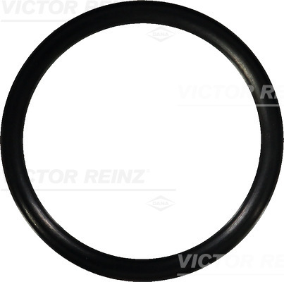 Afdichtring Reinz 40-76583-00