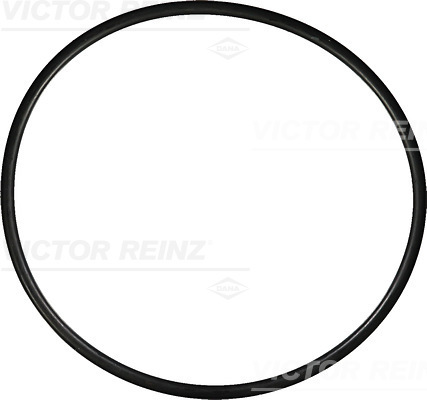 Afdichtring Reinz 40-76602-00