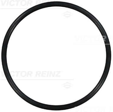 Afdichtring Reinz 40-76763-00