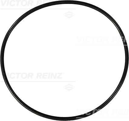 Afdichtring Reinz 40-76822-00