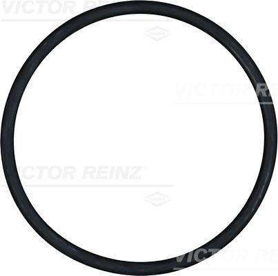 Afdichtring Reinz 40-76838-00