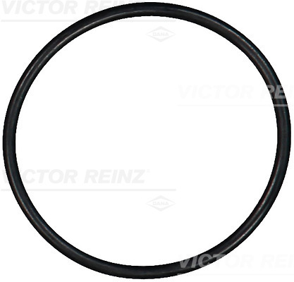 Afdichtring Reinz 40-76922-00