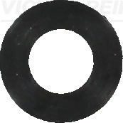 Klepsteeldichting Reinz 40-77014-00