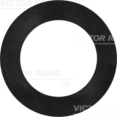 Afdichtring Reinz 40-77130-00