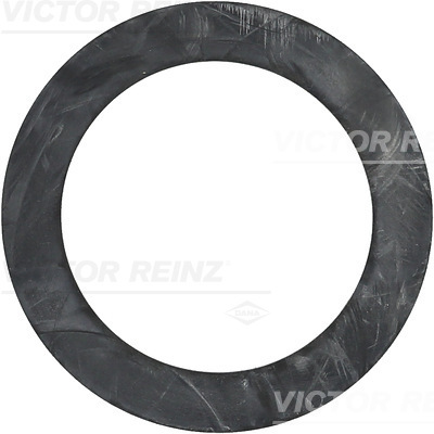 Afdichtring Reinz 40-77155-00