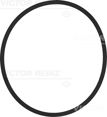 Afdichtring Reinz 40-77211-00