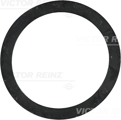 Afdichtring Reinz 40-77243-00