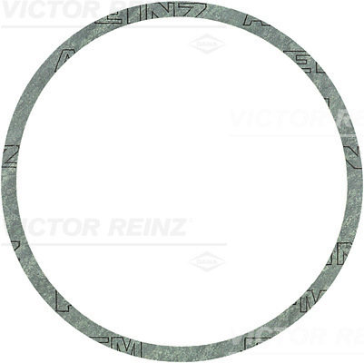 Afdichtring Reinz 40-81168-00