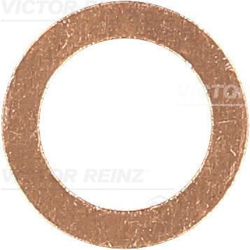 Afdichtring Reinz 41-70144-00