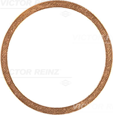 Afdichtring Reinz 41-70296-00