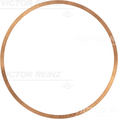 Cilinderkop pakking Reinz 41-70564-10