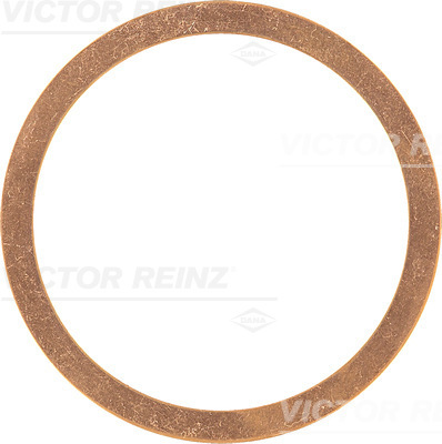 Cilinderkop pakking Reinz 41-70580-00